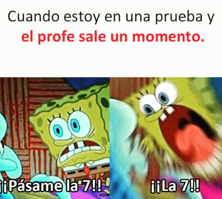 exámenes de fin de año