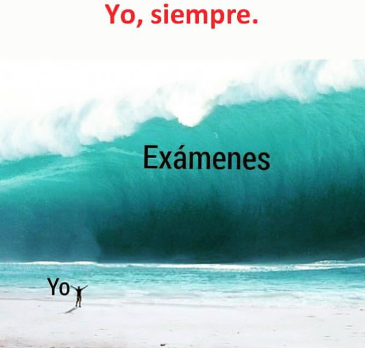 exámenes de fin de año