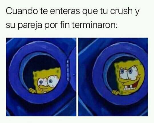 meme crush 15