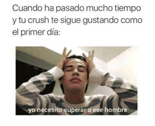 meme crush 4