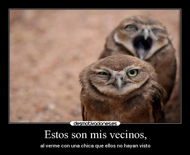 memes vecinos 7