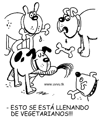 chistes-para-vegetarianos 10
