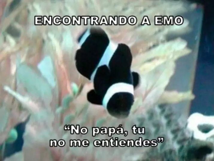 memes cuentos 8