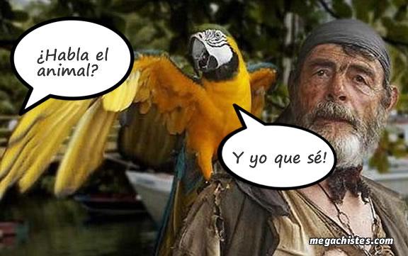 chistes de piratas 1