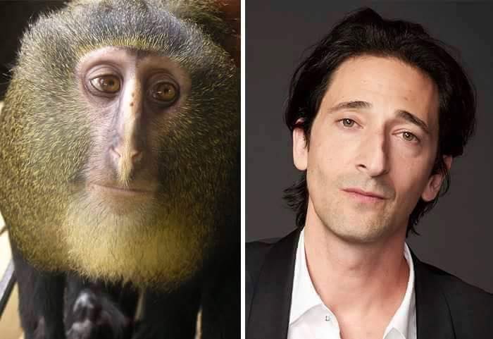 animales y personas 2
