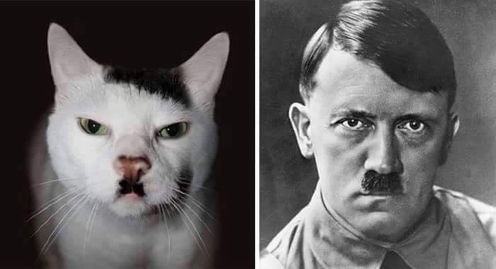 animales y personas 5