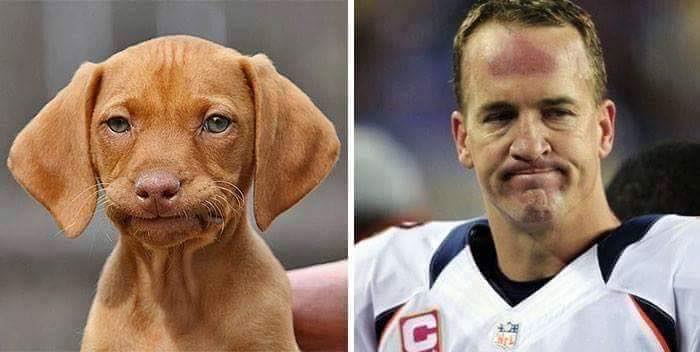 animales y personas 9