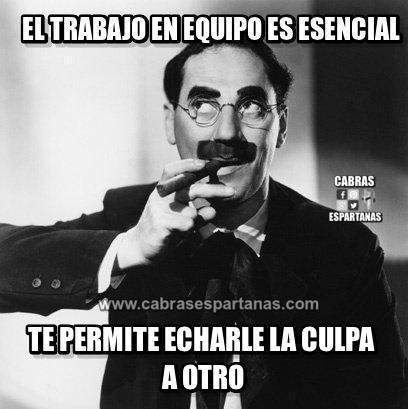 memes compañeros de trabajo 12