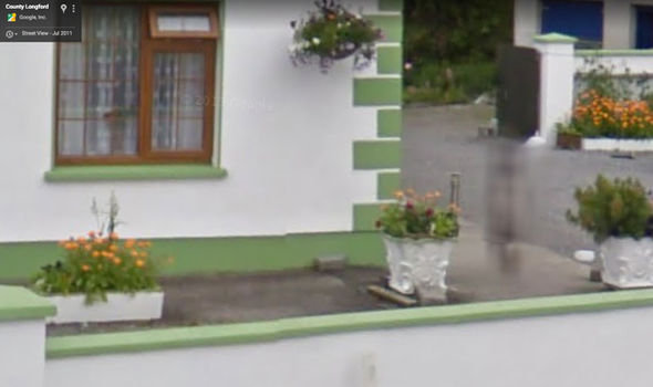 perro google maps 1