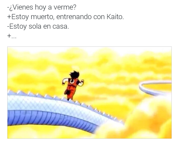 meme estoy sola en casa 2