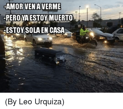 meme estoy sola en casa 7