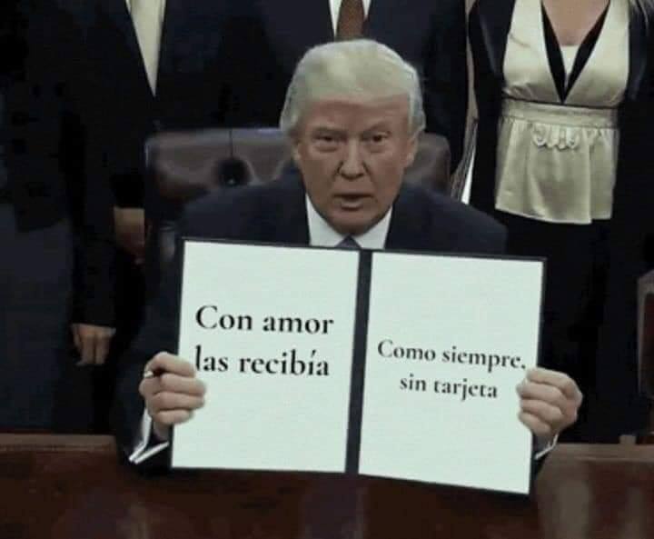 ramito de violetas zalo reyes 17