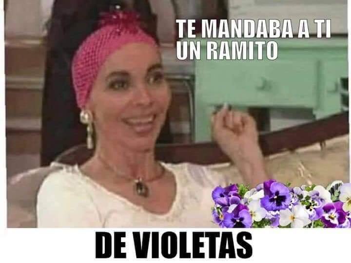 ramito de violetas zalo reyes 18