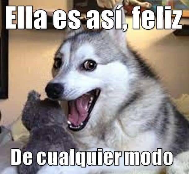 ramito de violetas zalo reyes 21