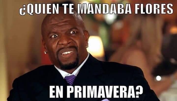 ramito de violetas zalo reyes 27