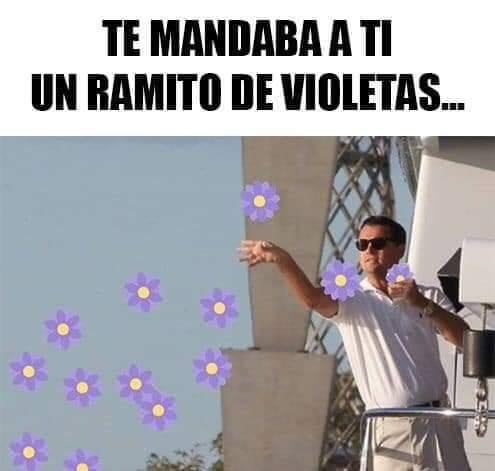 ramito de violetas zalo reyes 29