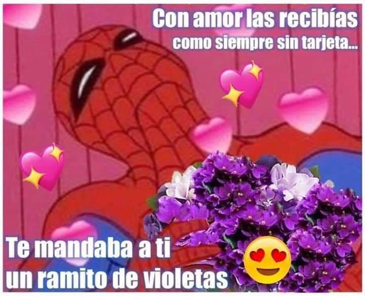 ramito de violetas zalo reyes 8
