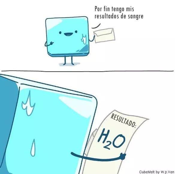 cubo de hielo 14