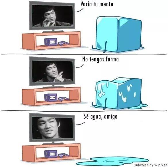 cubo de hielo 15