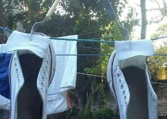 ingenieros sin titulo 1