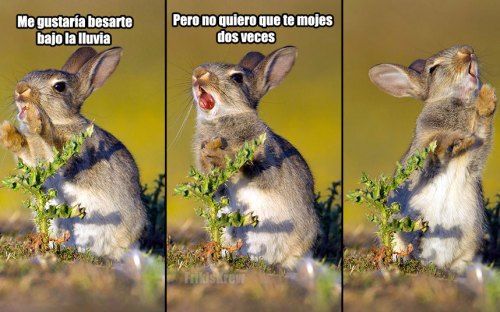 chiste de lluvia 10
