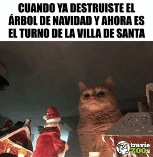 gatos versus navidad
