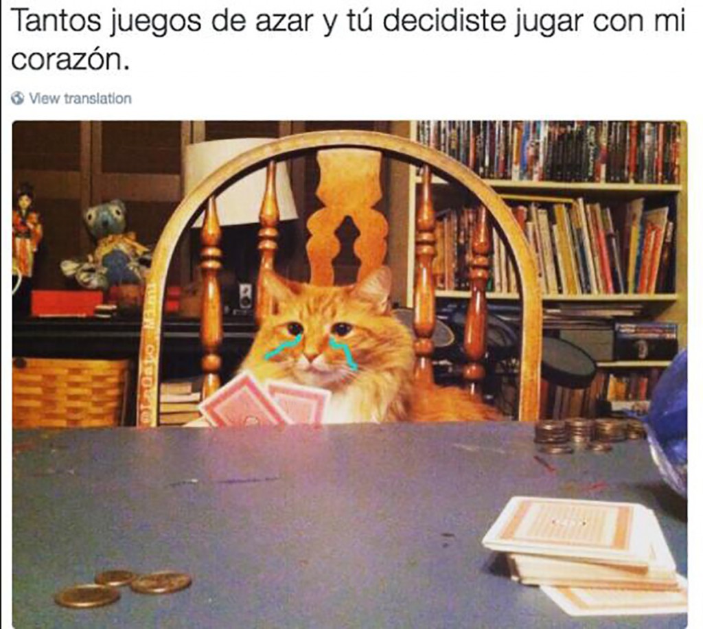 memes amor les da la espalda 6