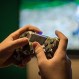 La “fiebre gamer”, la “epidemia” que afecta con humor a los fanáticos de las consolas