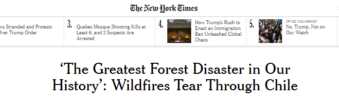 Foto: NYT.