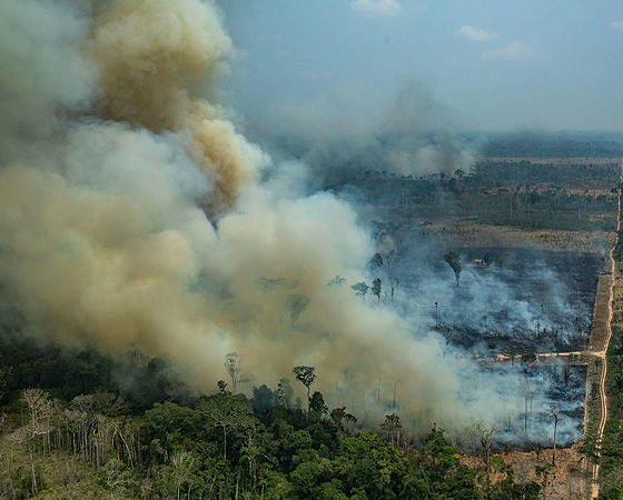 Los daños tras los incendios en el Amazonas son cuantiosos y han destruido variados ecosistemas en la zona afectada.