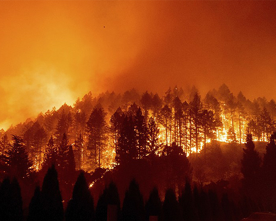 En Estados Unidos se han multiplicado la hectáreas que han sufrido incendios forestales.
