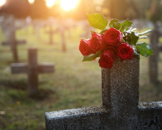 Abuela sepultada en cripta equivocada