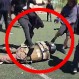 Alcalde Alessandri publica videos con brutal agresión a Carabineros en el Barros Arana