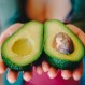 Pequeño de cuatro años sorprendió a todos por su gran soltura durante exposición sobre la palta