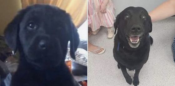 0_Buster-Then-and-Now