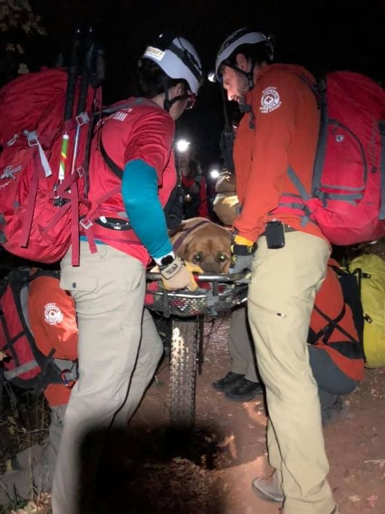 Los rescatistas tardaron cuatro horas en bajar al can de la montaña.