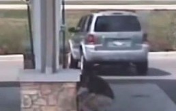 Hombre no le puso freno de mano a su auto y sufrió la peor de las consecuencias