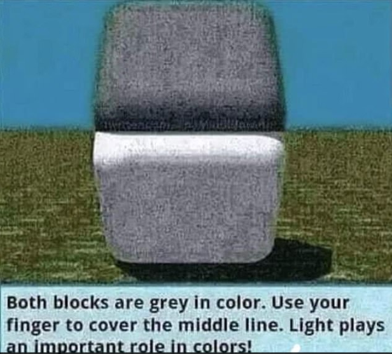 ¿Puedes ver la ilusión de los colores de ambos bloques?