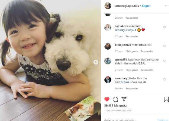 Perritos son famosos en Instagram debido a su gran tamaño.