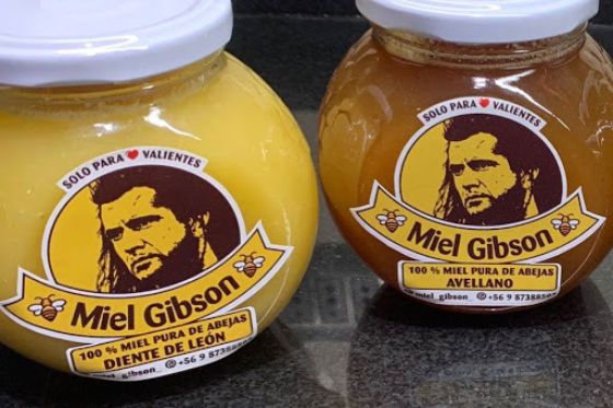 Nueva polémica en inscripción de marca de Miel Gibson en Chile.