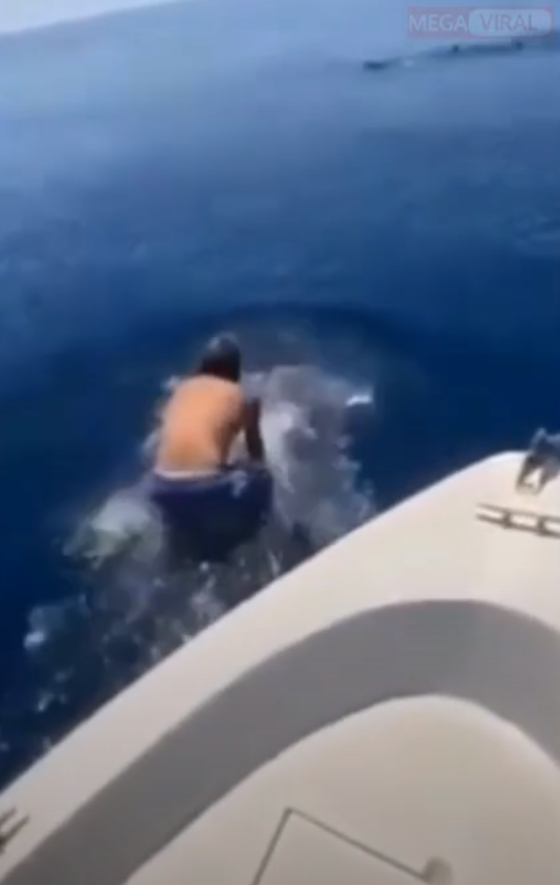 Hombre salta encima de un tiburón y se hace viral.
