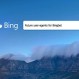 Google no está solo: Estos son los motores de búsqueda que surgen como alternativa al gigante de Internet