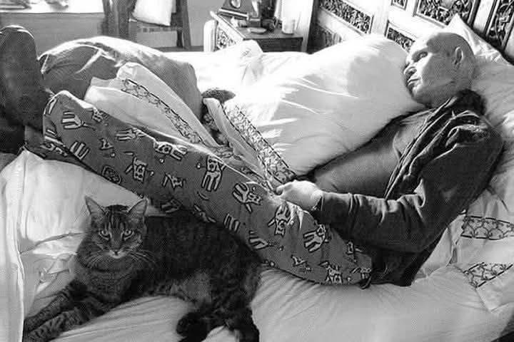 Patrick Swayze gato
