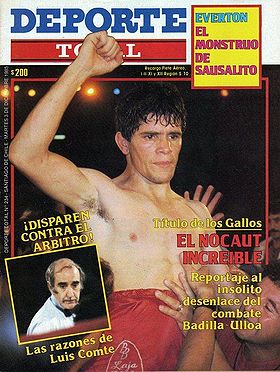 revista