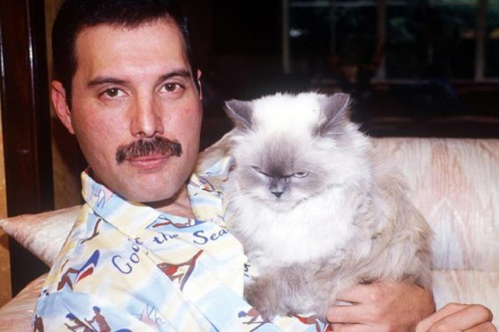 Freddie Mercury junto a Delilah, su gata más querida.