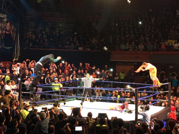 Los Hardys y los Young Bucks en plena acción final.