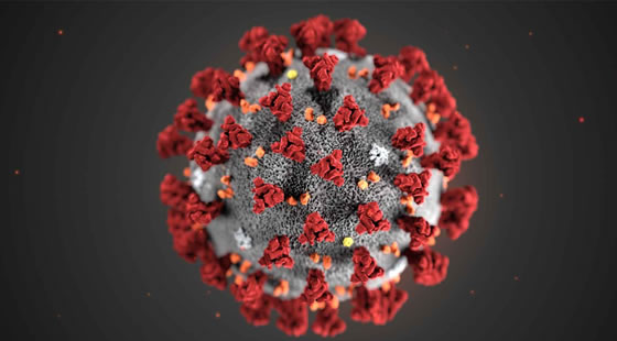 Coronavirus