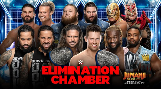 tag-team-elimination-chamber