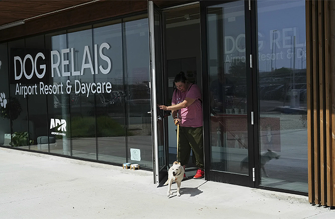 dogrealis2