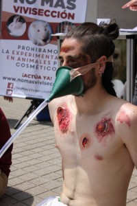 Foto: ONG No más vivisección